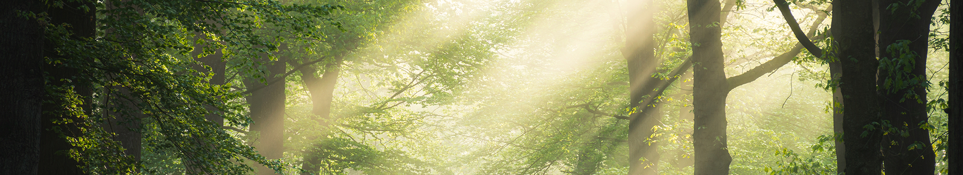 Stitch And 織履匠