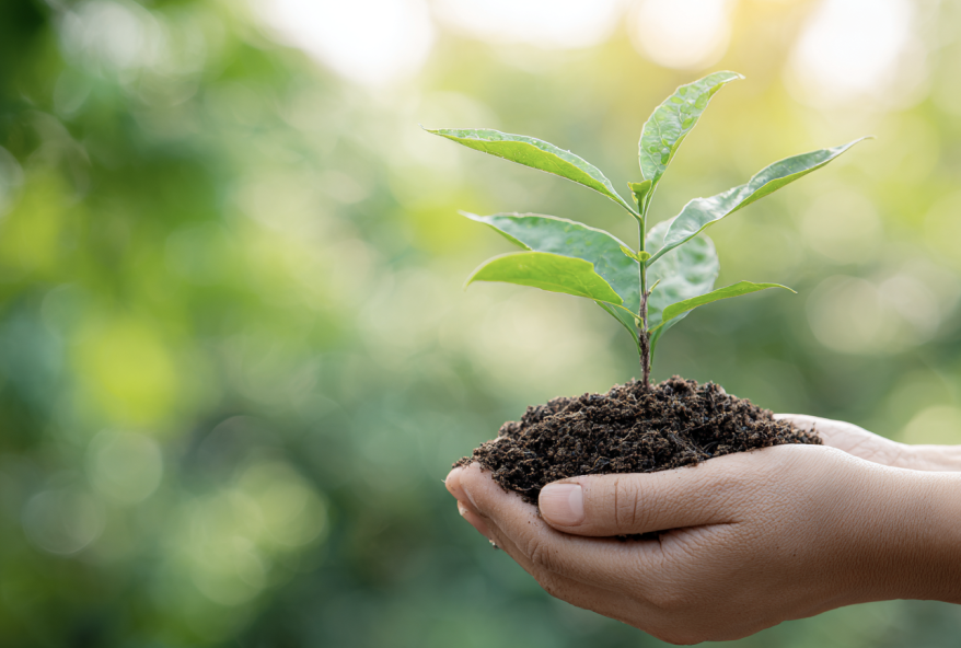環保的精神、永續傳承、綠色產品